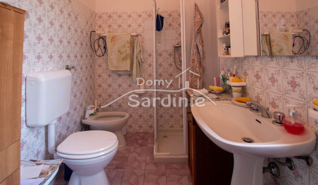 Dum na prodej v Bulzi-42